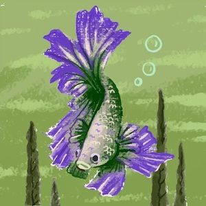 Meet your Posher, Jess